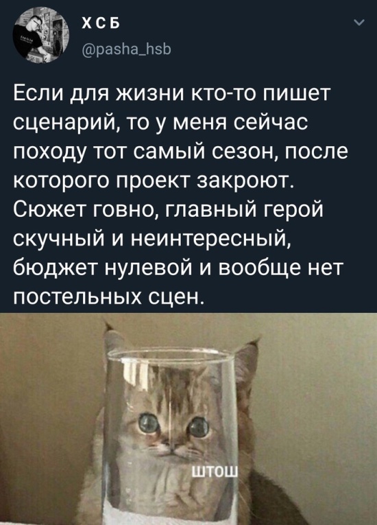 Юмор из социальных сетей