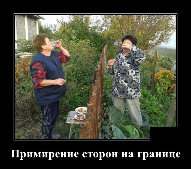 Демотиваторы