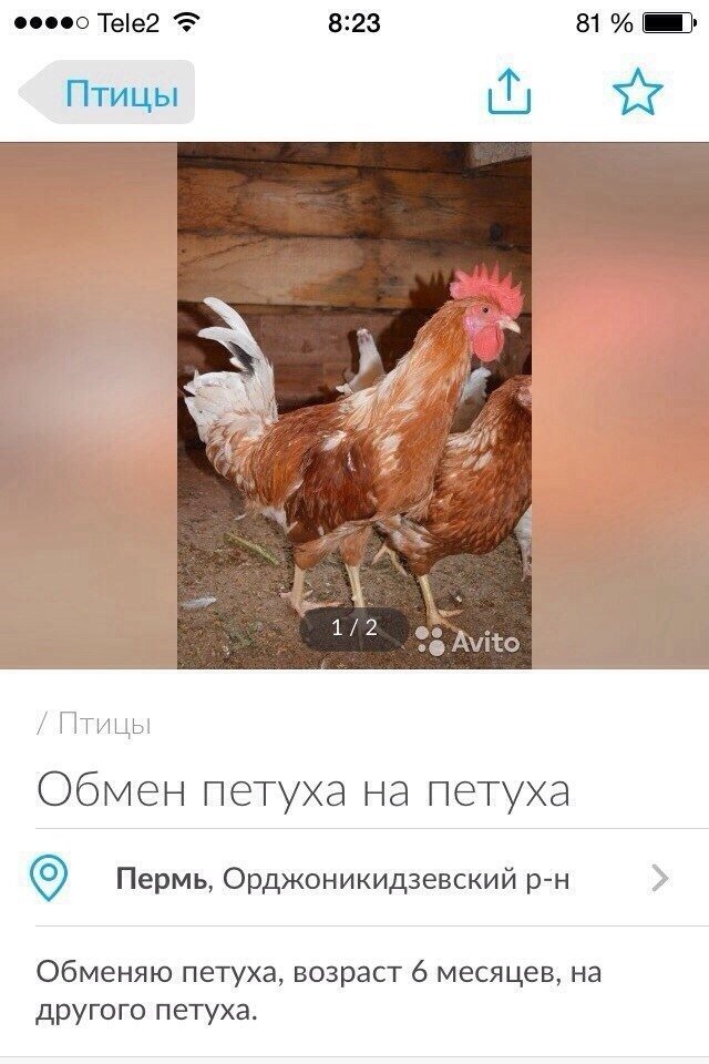 Сборник смешных объявлений
