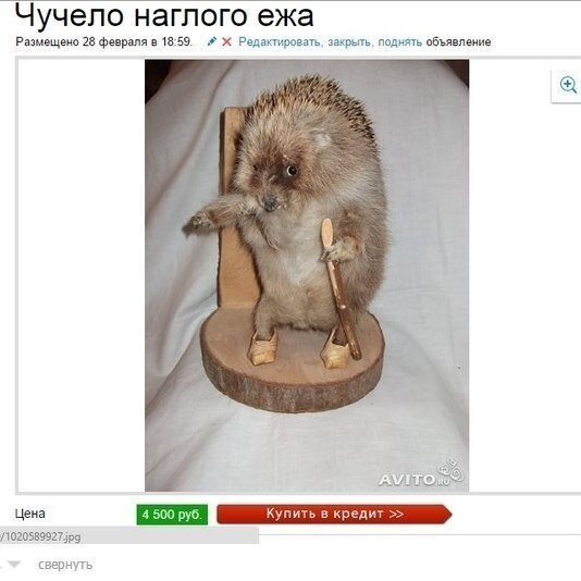 Сборник смешных объявлений