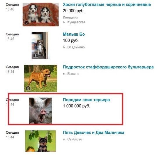 Сборник смешных объявлений