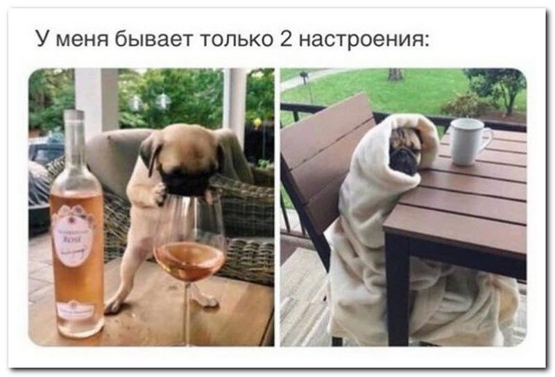 Забавные комментарии из социальных сетей