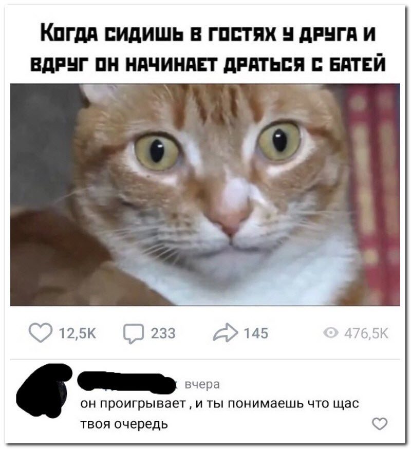 Забавные комментарии из социальных сетей