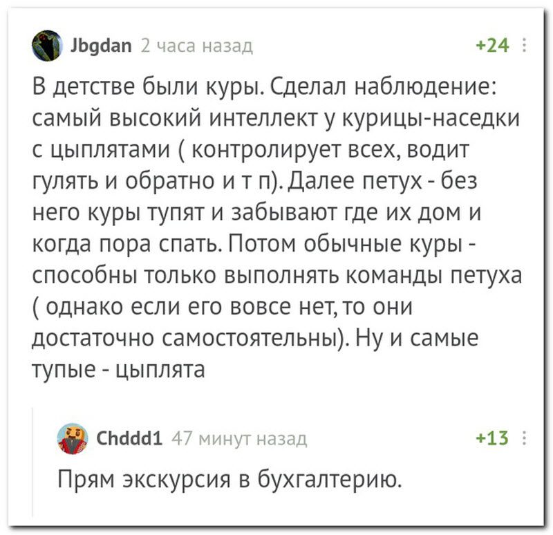 Забавные комментарии из социальных сетей