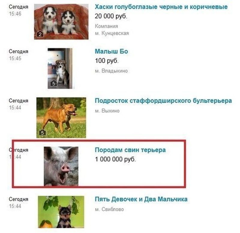 Убойные объявления с Авито