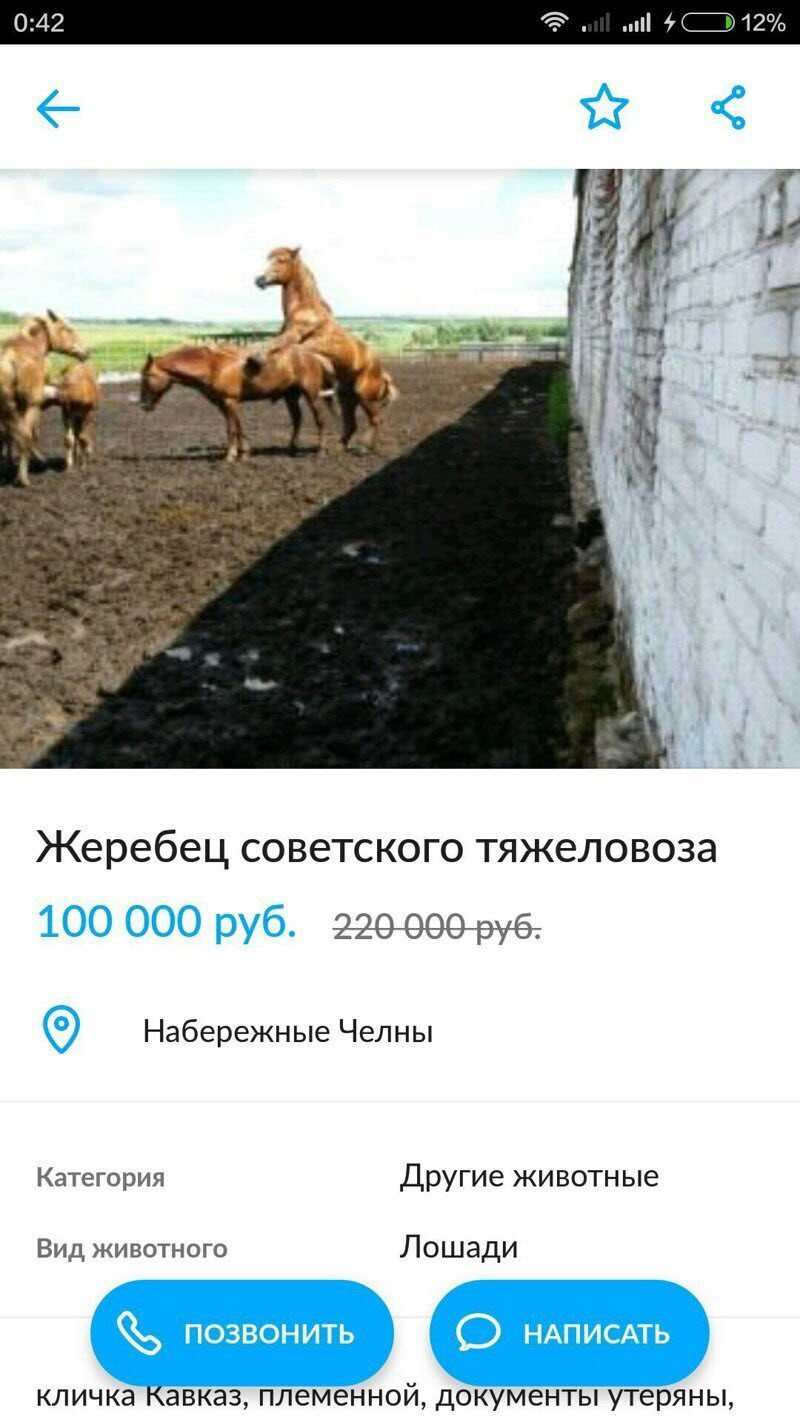 Убойные объявления с Авито