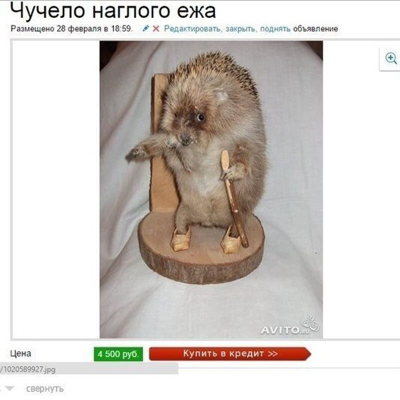 Убойные объявления с Авито