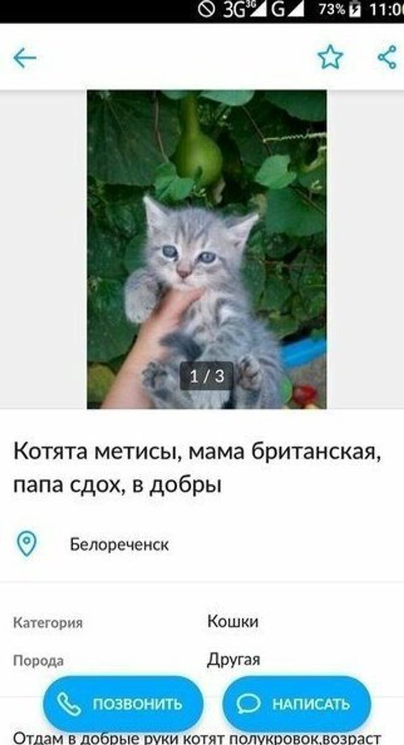 Убойные объявления с Авито