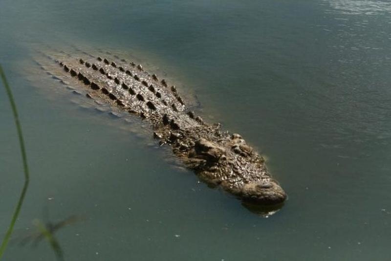 Самые опасные водоемы для плавания Самые опасные водоемы для плавания