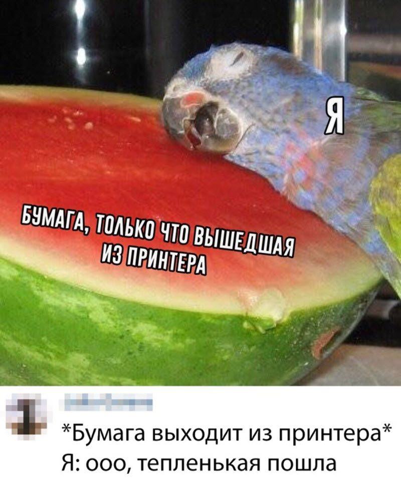 Прикольные картинки
