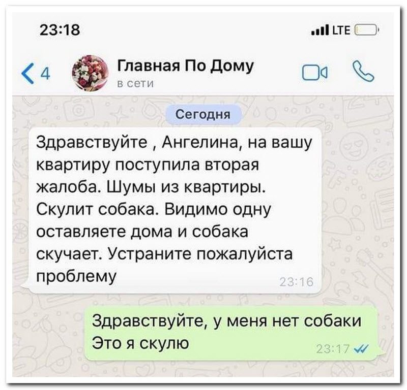 Забавные комментарии из социальных сетей 23.07.19
