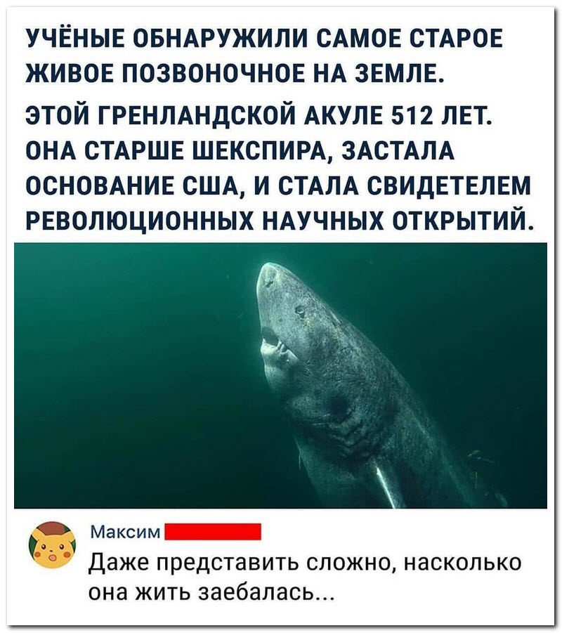 Забавные комментарии из социальных сетей 23.07.19