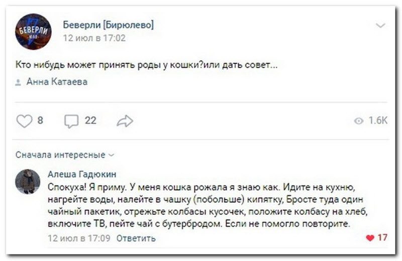 Забавные комментарии из социальных сетей 23.07.19