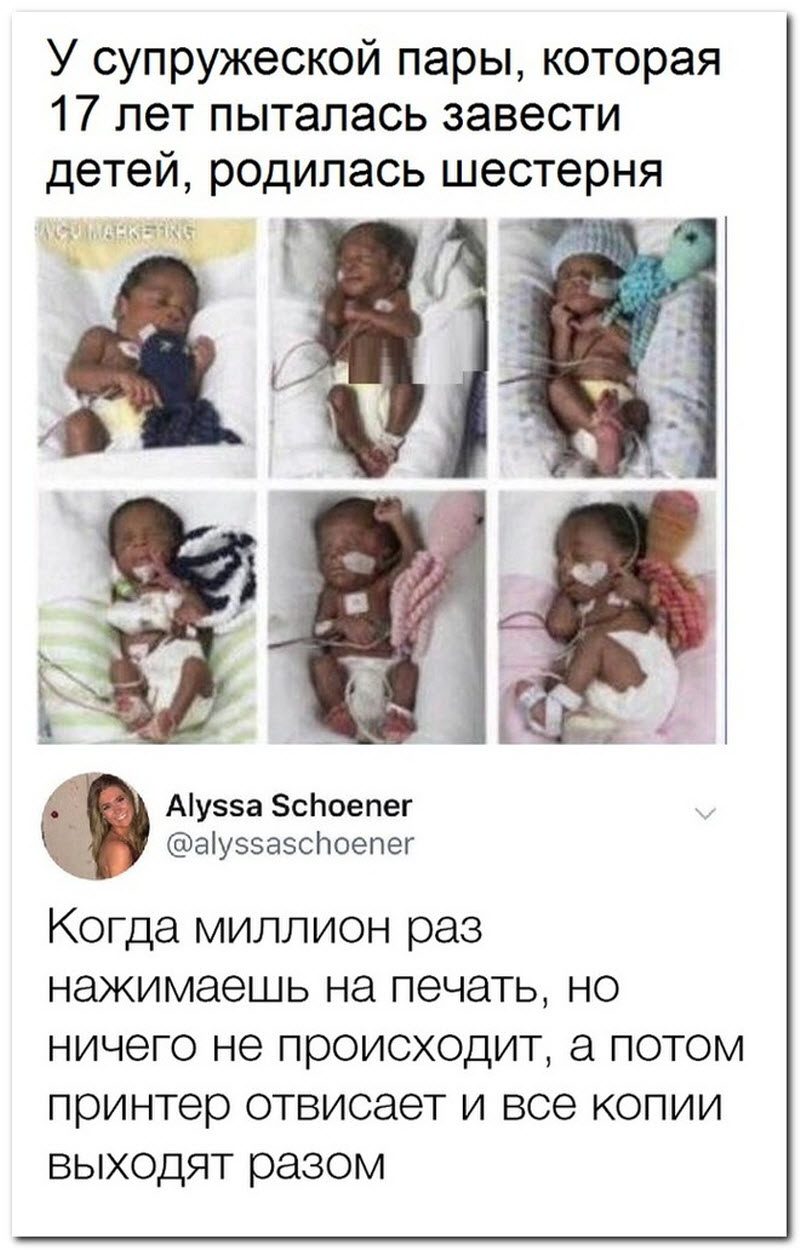 Забавные комментарии из социальных сетей 23.07.19