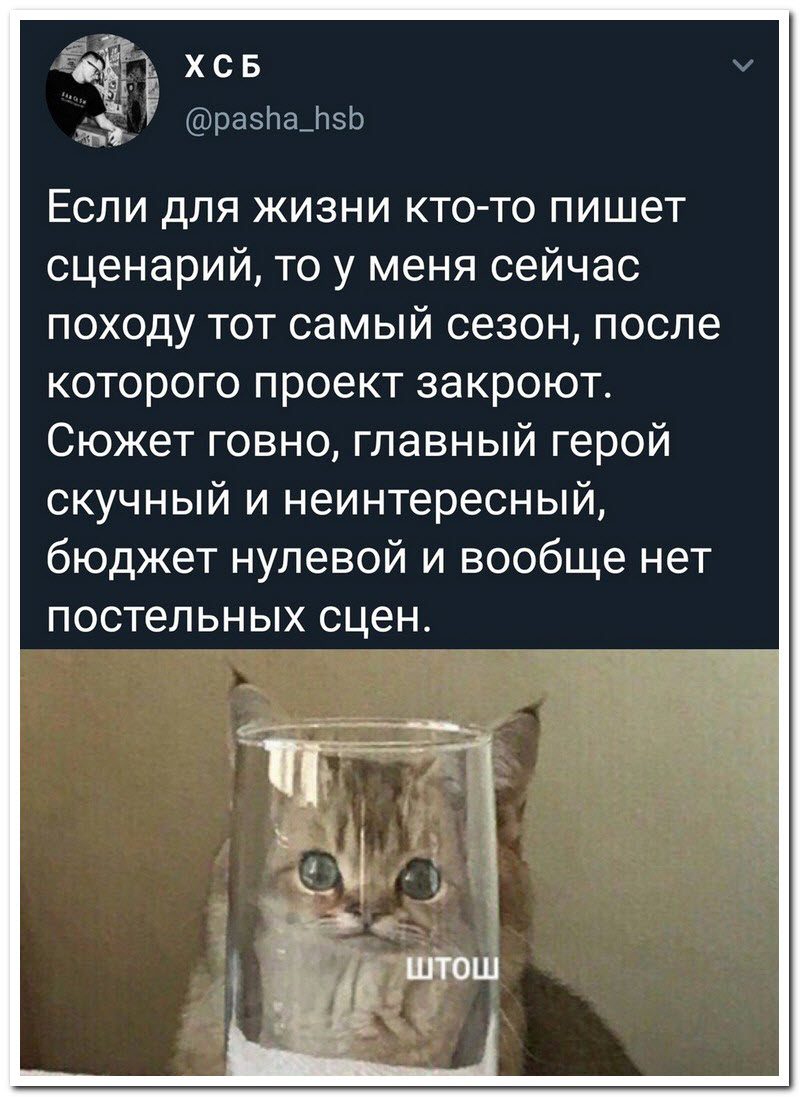 Забавные комментарии из социальных сетей 23.07.19