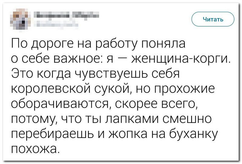 Забавные комментарии из социальных сетей 23.07.19