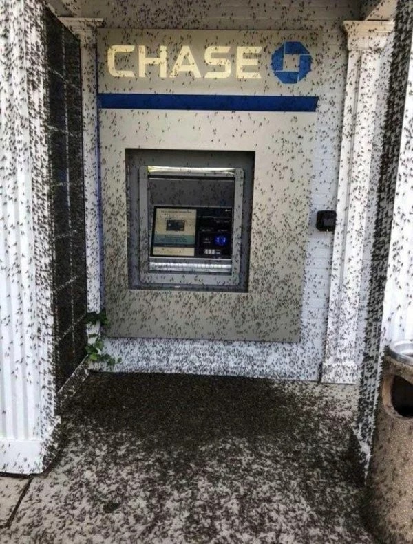 Странные и пугающие фотографии