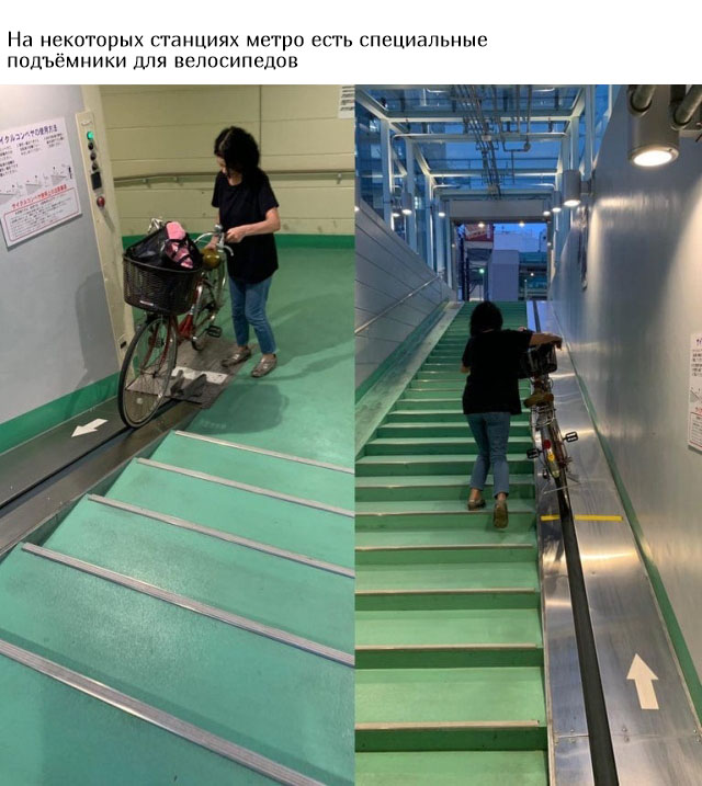 Заботливая Японии