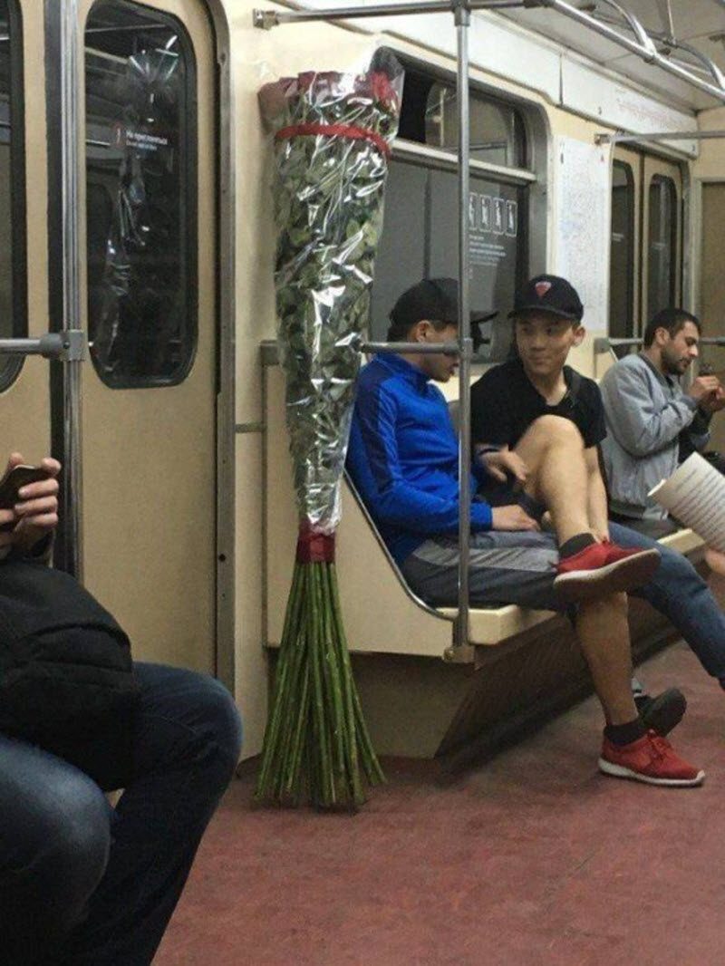 Прикольные картинки