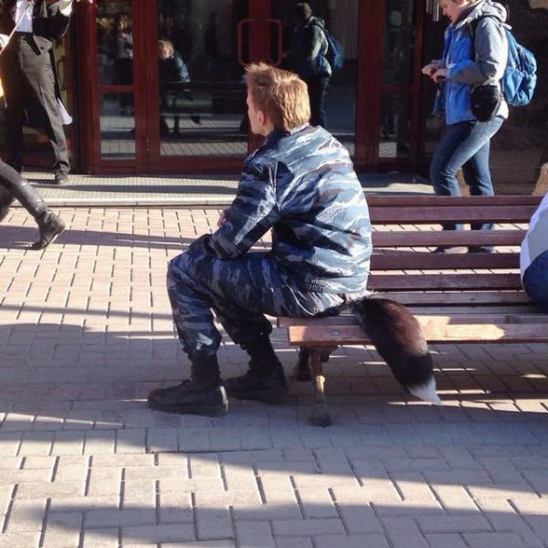 Прикольные картинки