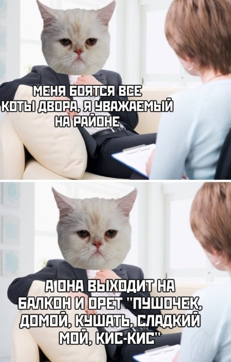 Прикольные картинки
