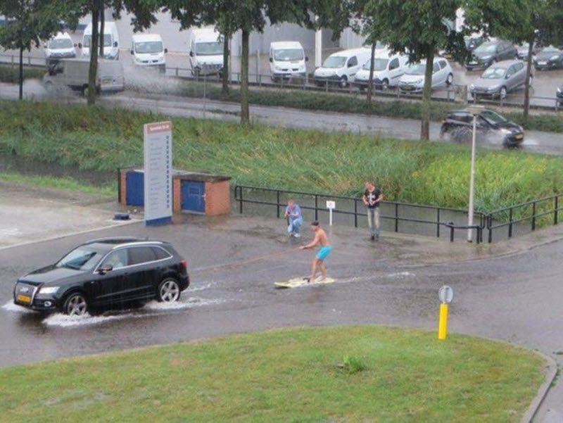 Прикольные картинки