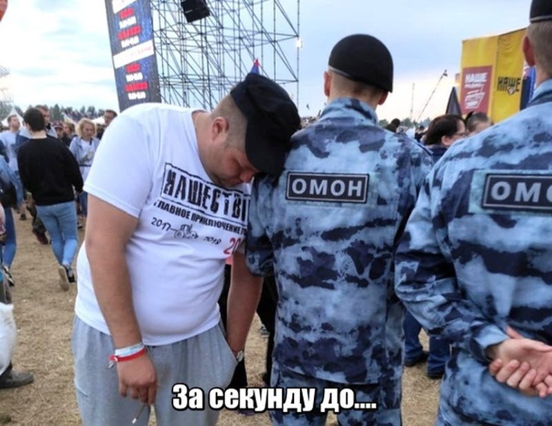 Прикольные картинки