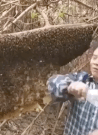 Странные поступки людей (28 фото)