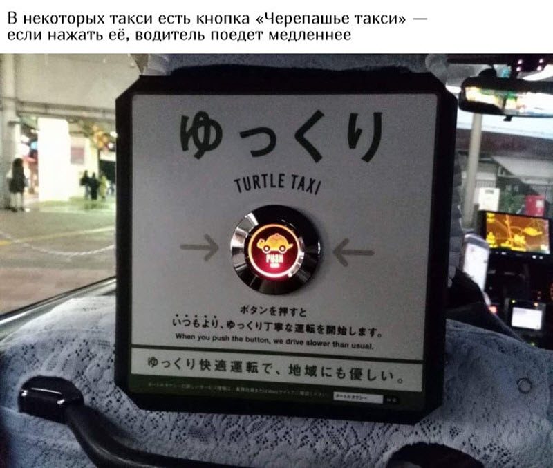 Заботливая Японии