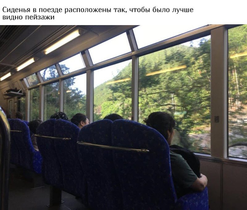 Заботливая Японии