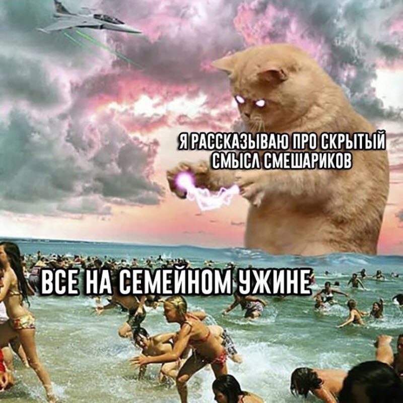 Прикольные картинки