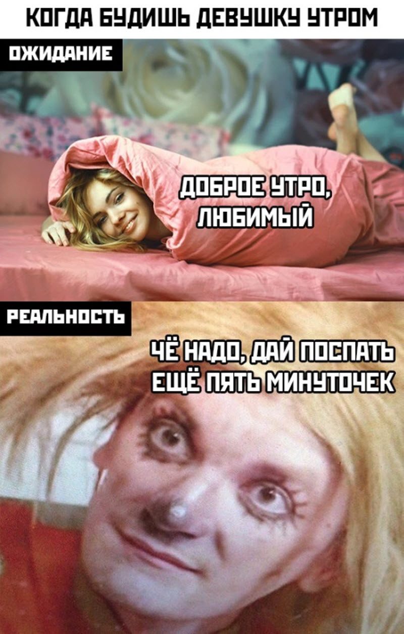 Прикольные картинки