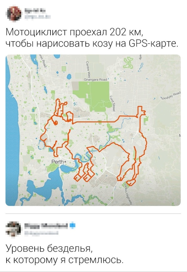 Немного шуток и комментариев из социальных сетей