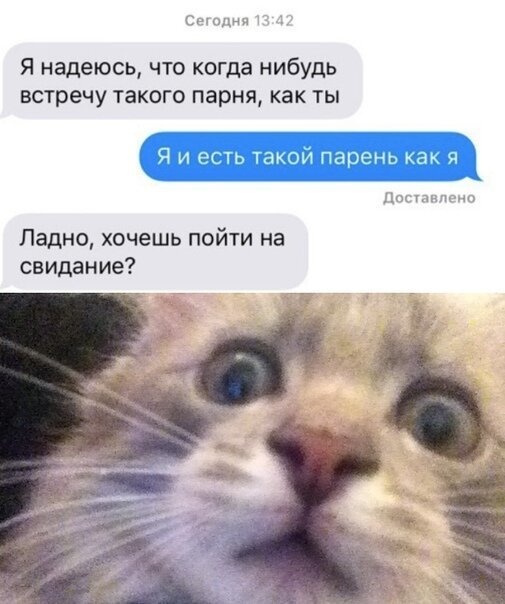 Немного шуток и комментариев из социальных сетей