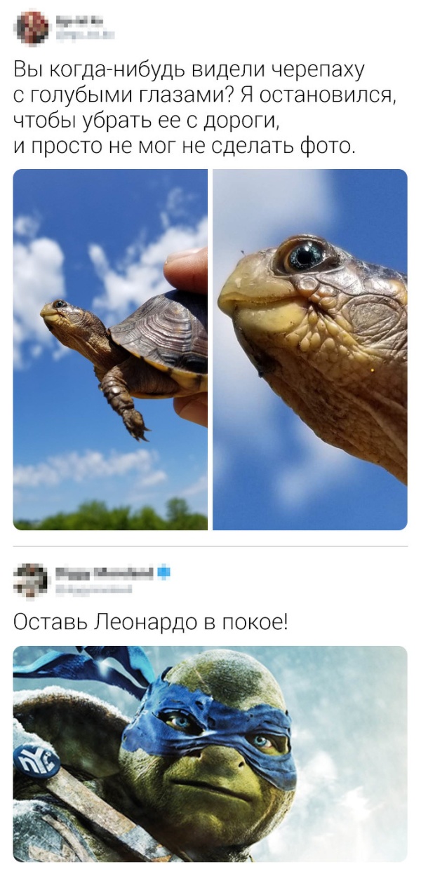 Немного шуток и комментариев из социальных сетей