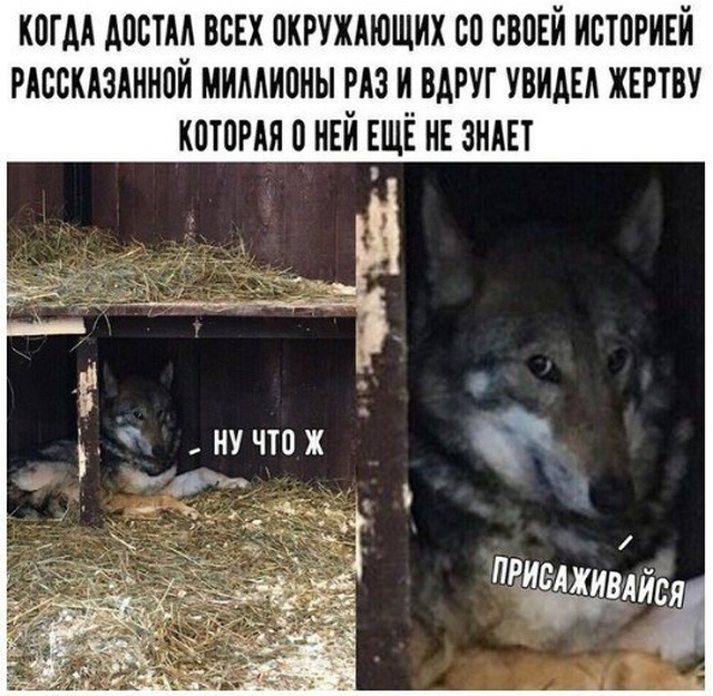 Немного шуток и комментариев из социальных сетей