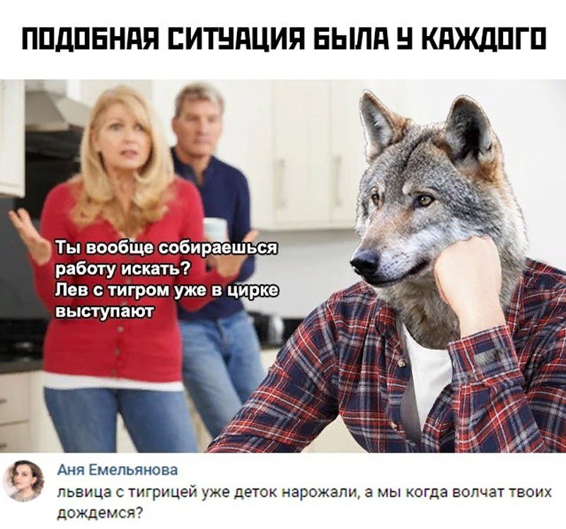Прикольные картинки