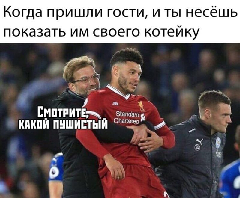 Прикольные картинки