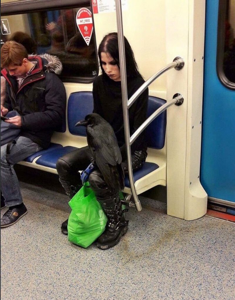 Модники из российского метрополитена