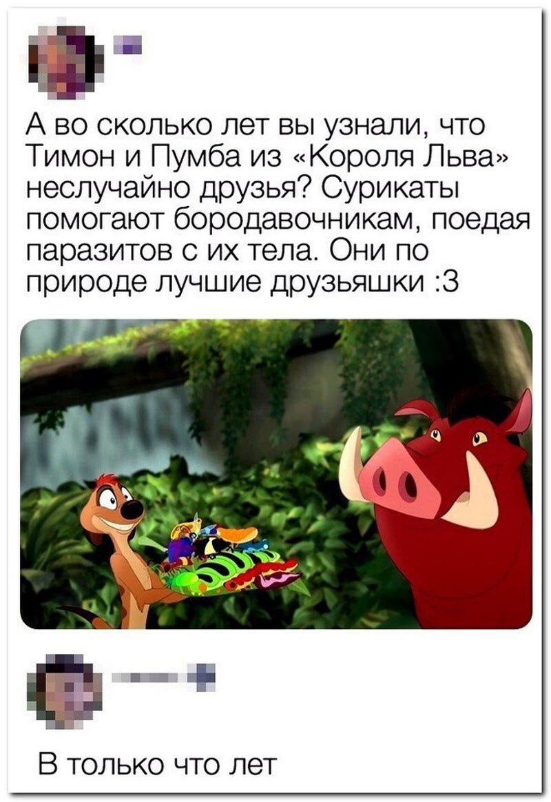 Забавные комментарии из социальных сетей