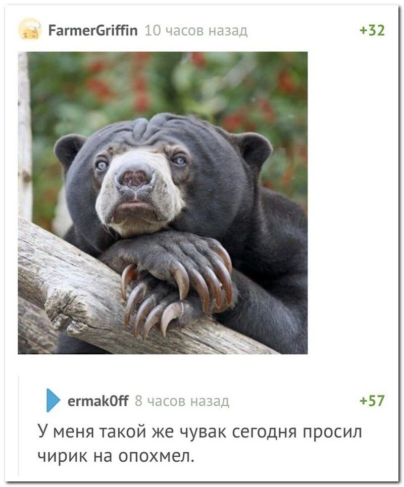 Забавные комментарии из социальных сетей