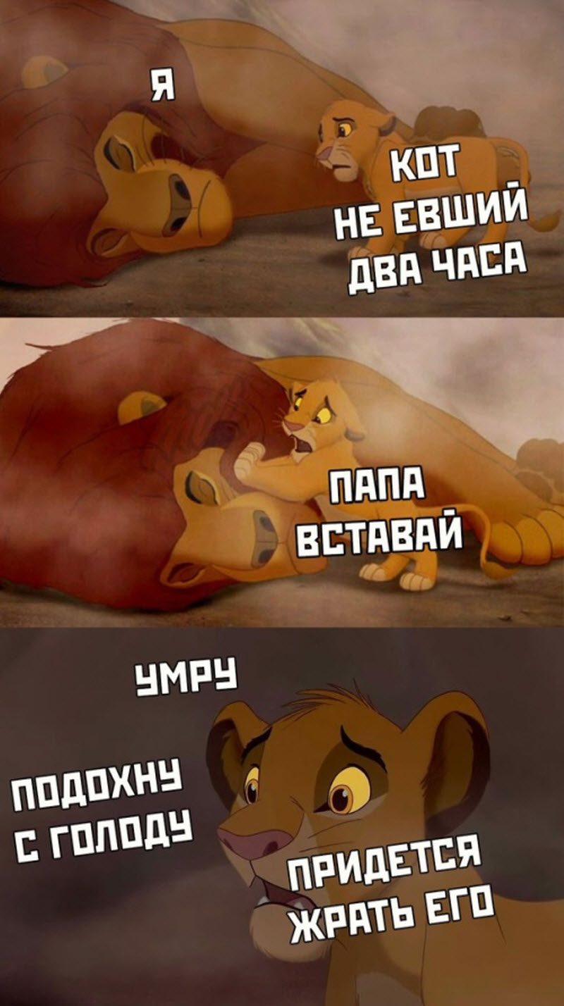 Прикольные картинки