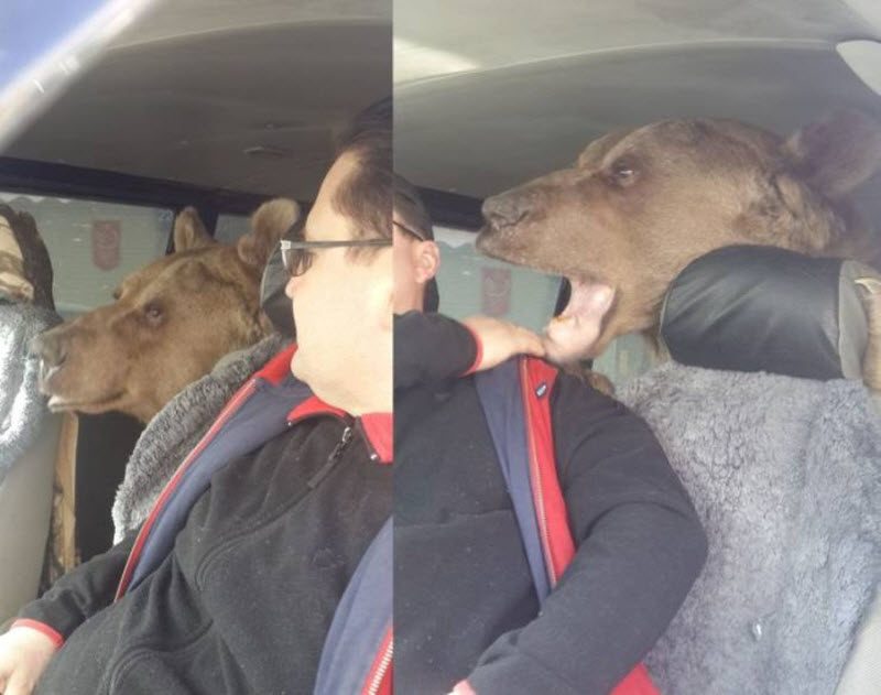 Прикольные картинки