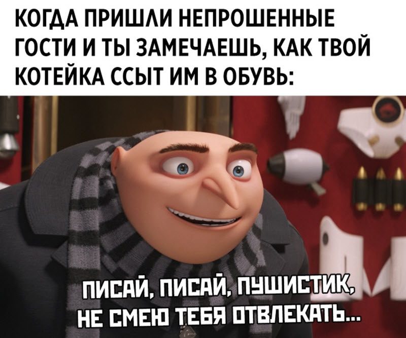 Прикольные картинки