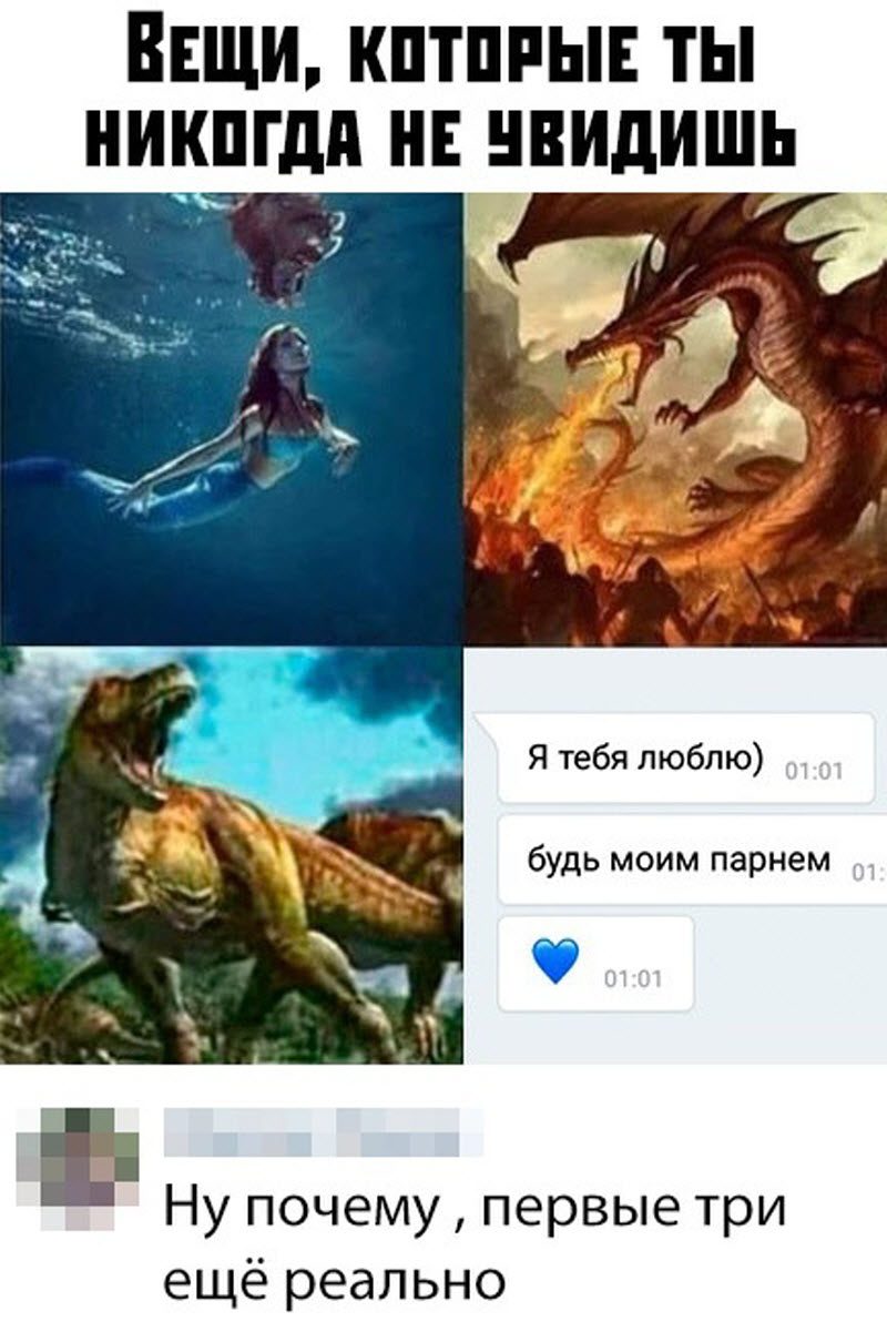 Прикольные картинки