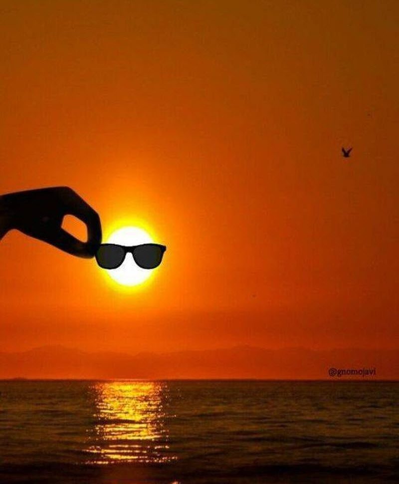 Прикольные картинки