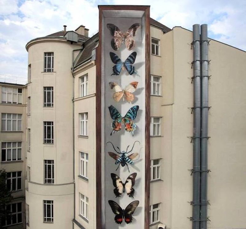 Прикольные картинки