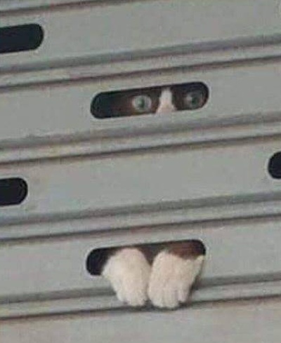 Как за нами следят