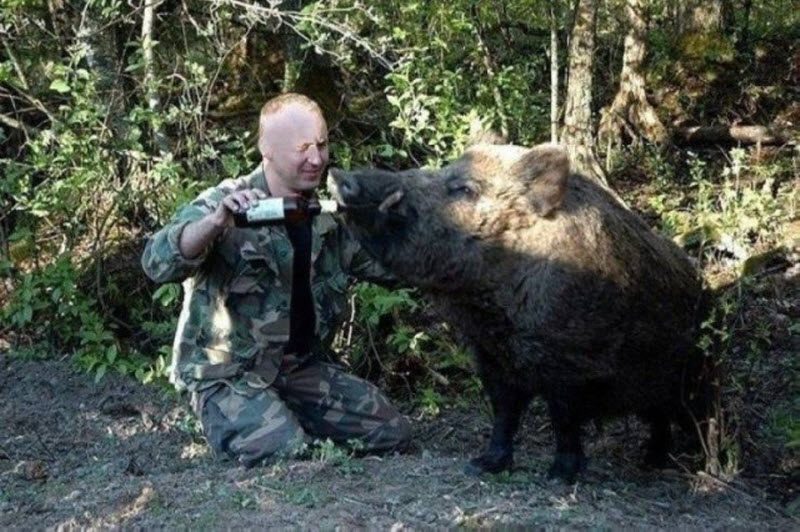 Прикольные картинки