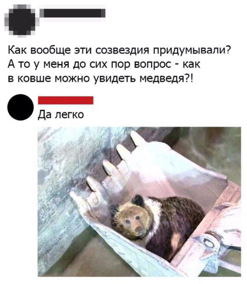 Прикольные картинки